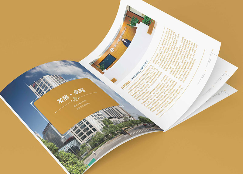 杭州小額貸款公司宣傳冊設計