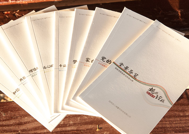 諸暨供電公司“楓橋經驗”系列叢書畫冊設計
