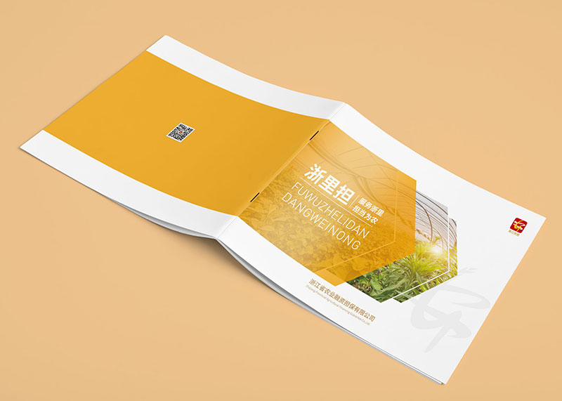 金融投資畫冊設計-讓您有了資金的保證